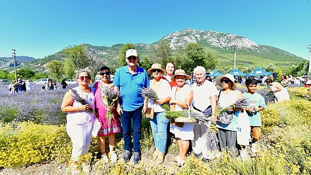 Fethiye'de Lavanta Hasadı Renkli Görüntülerle Gerçekleşti