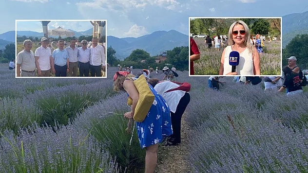 Fethiye'de lavantadan üretime, üretimden katma değere
