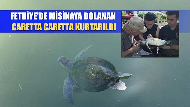 Fethiye'de misinaya dolanan caretta caretta kurtarıldı