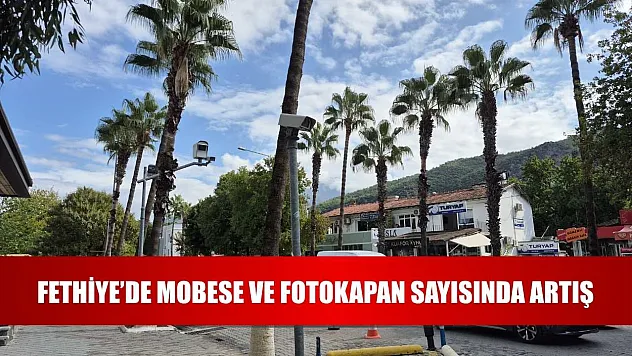 Fethiye'de Mobese ve Fotokapan Sayısında Artış