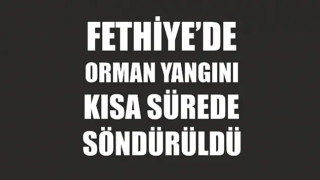 Fethiye'de orman yangını kısa sürede söndürüldü