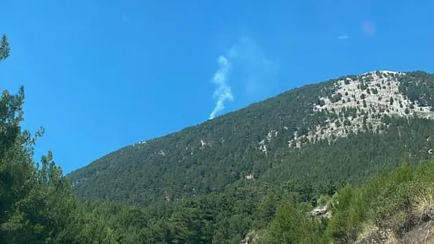 Fethiye'de orman yangını kontrol altına alındı