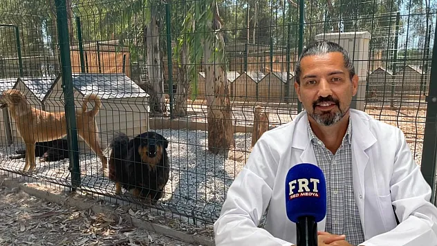 Fethiye'de 'Patili Dost Kart' sahiplerine özel ayrıcalıklar
