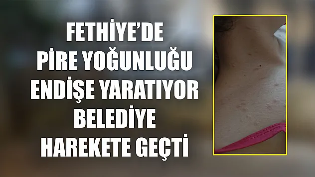 Fethiye'de Pire Yoğunluğu Endişe Yaratıyor Belediye Harekete Geçti