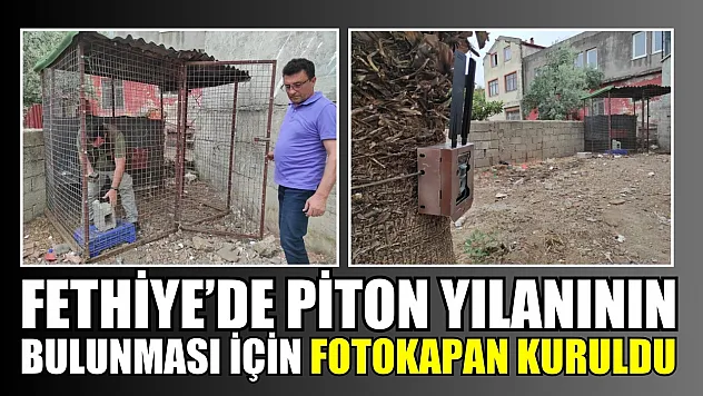 Fethiye'de piton yılanının bulunması için fotokapan kuruldu