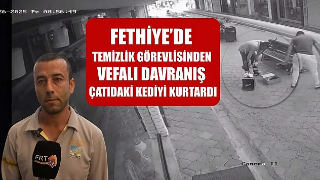 Fethiye'de Temizlik Görevlisinden vefalı davranış, çatıdaki kediyi kurtardı