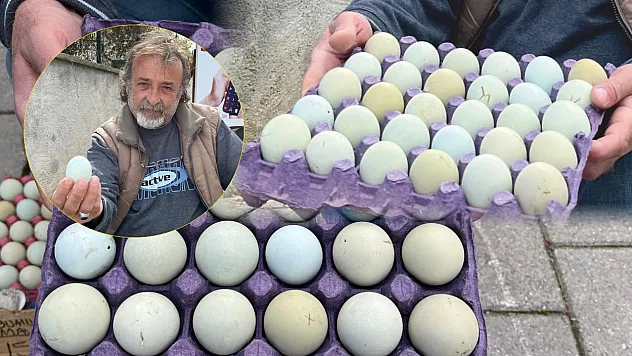 Fethiye'de Tezgahta Mavi Yumurta: Gören Dönüp Bir Daha Bakıyor