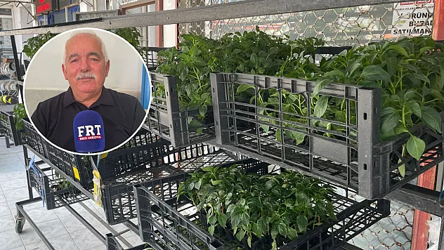 Fethiye'de üreticilere uyarı: Sıcaklıklar bitki hastalıklarını tetikliyor