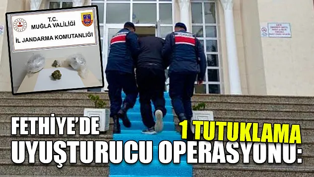 Fethiye'de uyuşturucu operasyonu: 1 tutuklama