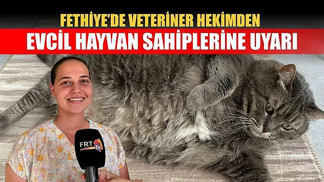 Fethiye'de veteriner hekimden evcil hayvan sahiplerine uyarı