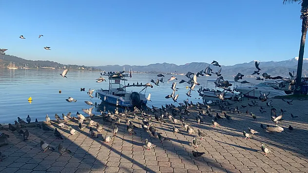 Fethiye'de yağışın ardından güneşli sabah: Sahilde umut veren manzara