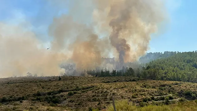 Fethiye'de yangın Koru Mahallesi'nde şiddetlendi