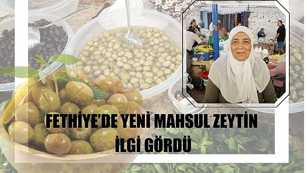 Fethiye'de yeni mahsul zeytin ilgi gördü