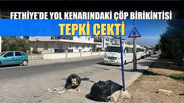 Fethiye'de yol kenarındaki çöp birikintisi tepki çekti