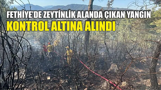 Fethiye'de zeytinlik alanda çıkan yangın kontrol altına alındı