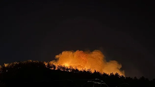 Fethiye'deki yangın büyük ölçüde kontrol altında
