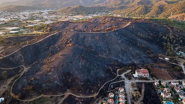 Fethiye'deki Yangın, geride izleri yıllarca silinmeyecek acı bir manzara bıraktı