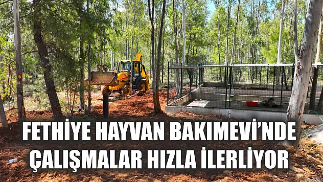 Fethiye Hayvan Bakımevi'nde çalışmalar hızla ilerliyor