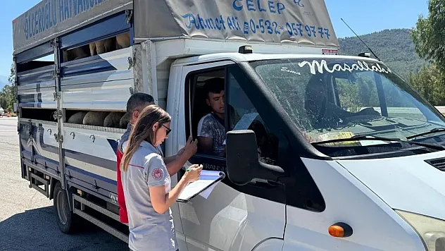 Fethiye İlçe Tarım'dan kurbanlık kontrolü
