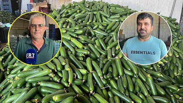 Fethiye Karaçulha Hali'nde salatalık sezonu zor başladı: Üretici de komisyoncu da kazanamıyor