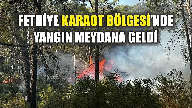Fethiye Karaot Bölgesi'nde yangın meydana geldi