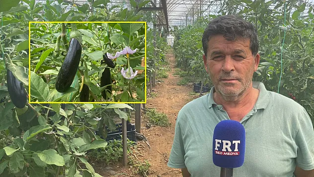 Fethiye Kargı'da üretimin sesi: 'Çiftçi olmazsa aç kalırlar'