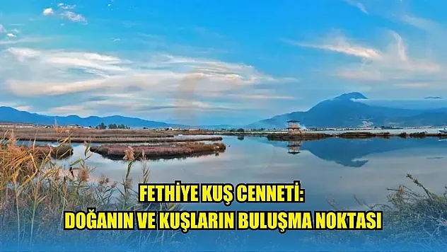 Fethiye Kuş Cenneti: Doğanın ve Kuşların Buluşma Noktası