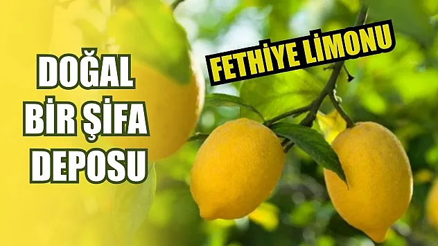 Fethiye Limonu: Doğal bir şifa deposu
