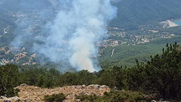 Fethiye Nif'te orman yangını kontrol altına alındı