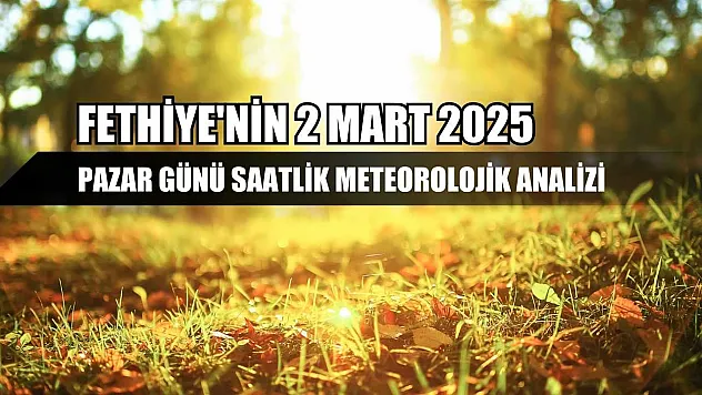 Fethiye'nin 2 Mart 2025 Pazar günü saatlik meteorolojik analizi