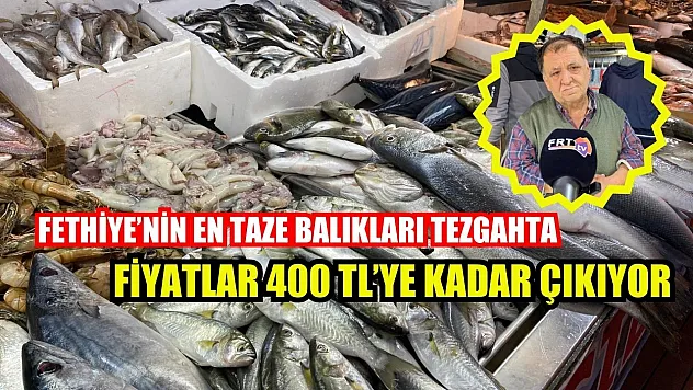 Fethiye'nin En Taze Balıkları Tezgahta: Fiyatlar 400 TL'ye Kadar Çıkıyor