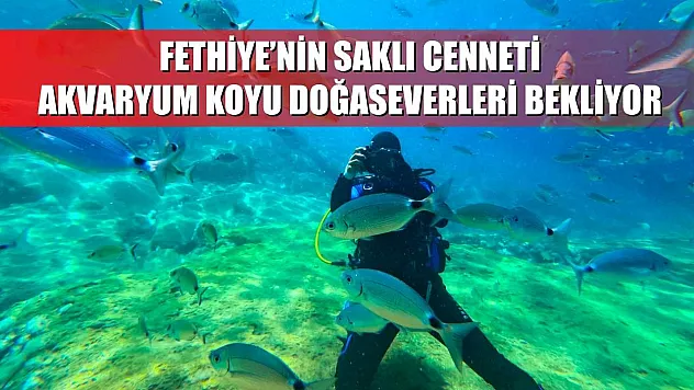 Fethiye'nin Saklı Cenneti: Akvaryum Koyu Doğaseverleri Bekliyor