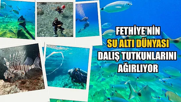 Fethiye'nin su altı dünyası dalış tutkunlarını ağırlıyor