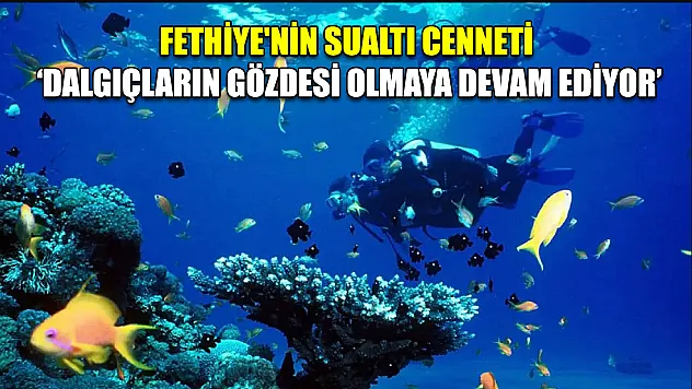 Fethiye'nin sualtı cenneti 'Dalgıçların gözdesi olmaya devam ediyor'