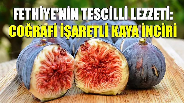 Fethiye'nin tescilli lezzeti: Coğrafi işaretli Kaya İnciri