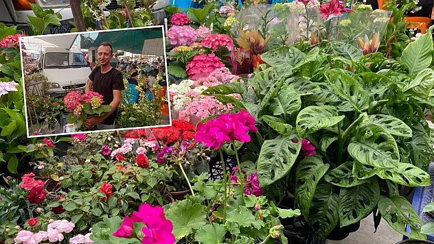 Fethiye Pazarlarında Sezonun Son Bahçe Bitkileri Satışa Çıktı