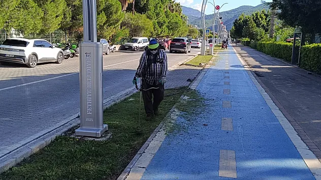 Fethiye Sahil Bandında Ot ve Çim Biçme Çalışmaları Sürüyor