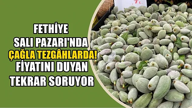 Fethiye Salı Pazarı'nda Çağla tezgâhlarda! Fiyatını duyan tekrar soruyor