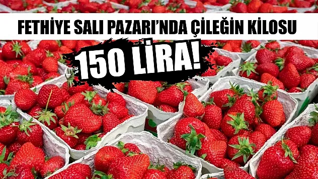 Fethiye Salı Pazarı'nda çileğin kilosu 150 lira!