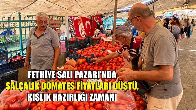 Fethiye Salı Pazarı'nda Salçalık Domates Fiyatları Düştü, Kışlık Hazırlığı Zamanı