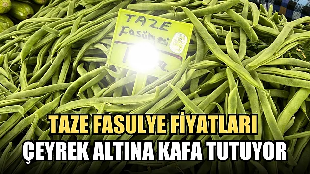 Fethiye Salı pazarında taze fasulye fiyatları çeyrek altına kafa tutuyor