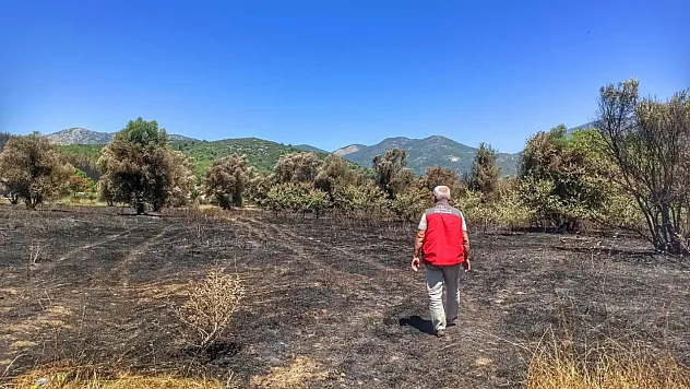 Fethiye Üzümlü'de Yangın Sonrası Tarım Arazileri İncelendi