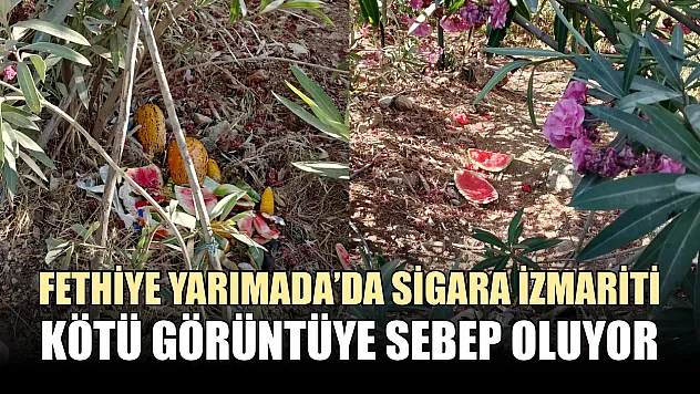 Fethiye Yarımada'da Sigara İzmariti Kötü Görüntüye Sebep Oluyor