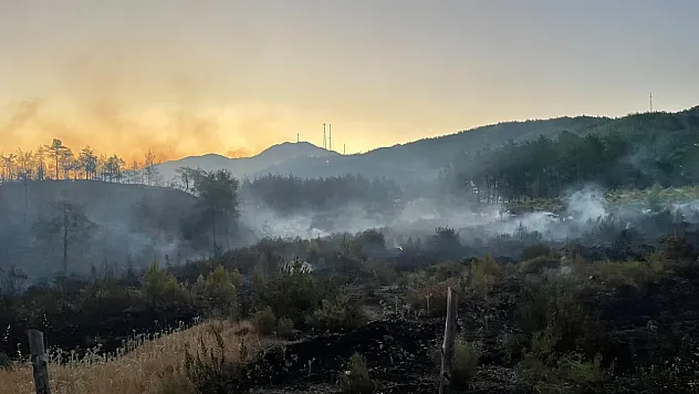 Fethiye Yeşilüzümlü'de alevlerle zorlu mücadele sürüyor