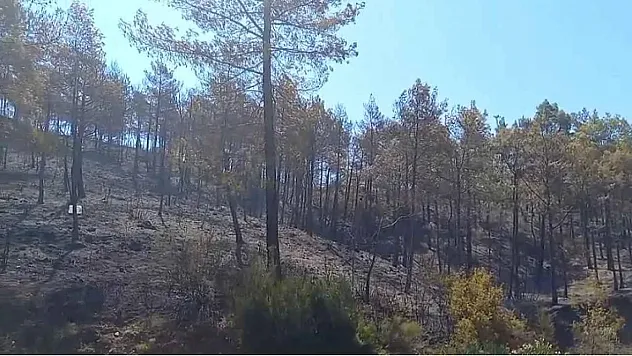 Fethiye Yeşilüzümlü'de çıkan orman yangını kontrol altına alındı