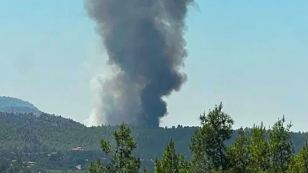 Fethiye Yeşilüzümlü'de rüzgar yangını yeniden alevlendirdi