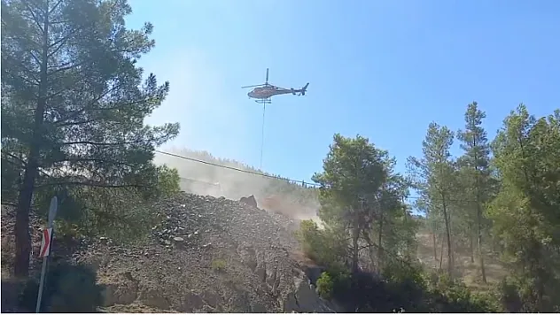 Fethiye Yeşilüzümlü'de yangının başladığı noktanın son hali