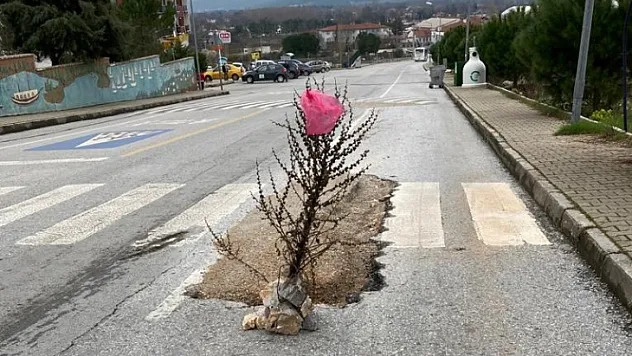 Fıkraları aratmayacak görüntü: 'Yaya geçidi sizlere ömür'