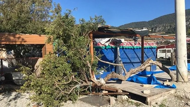 Fırtına Akbük'te hasara yol açtı