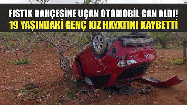 Fıstık bahçesine uçan otomobil can aldı! 19 yaşındaki genç kız hayatını kaybetti